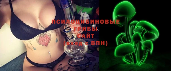 тгк Алексин