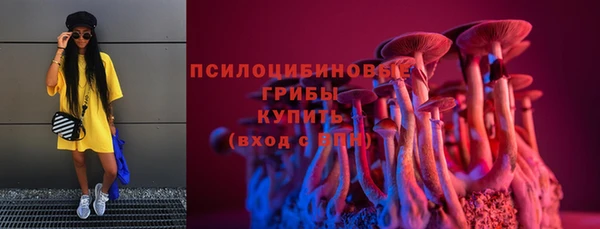 крисы Алексеевка