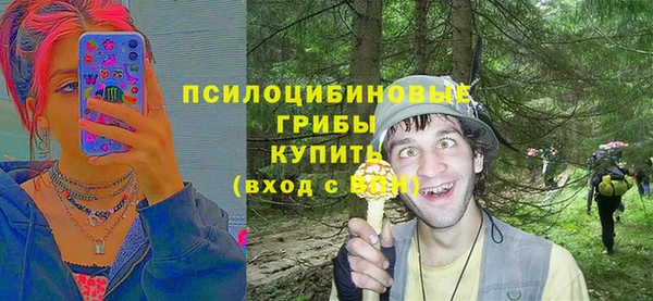 крисы Алексеевка