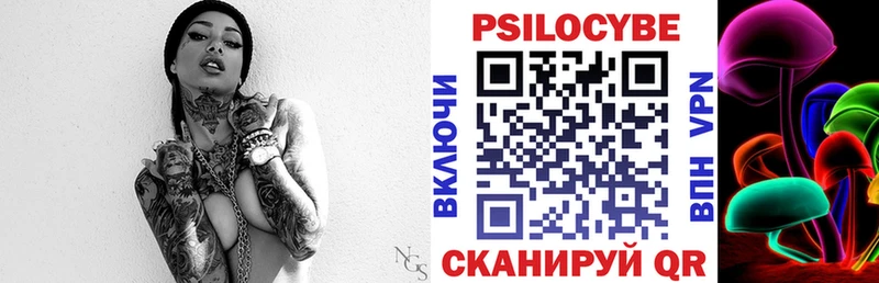 купить закладку  Юрьев-Польский  Псилоцибиновые грибы Cubensis 